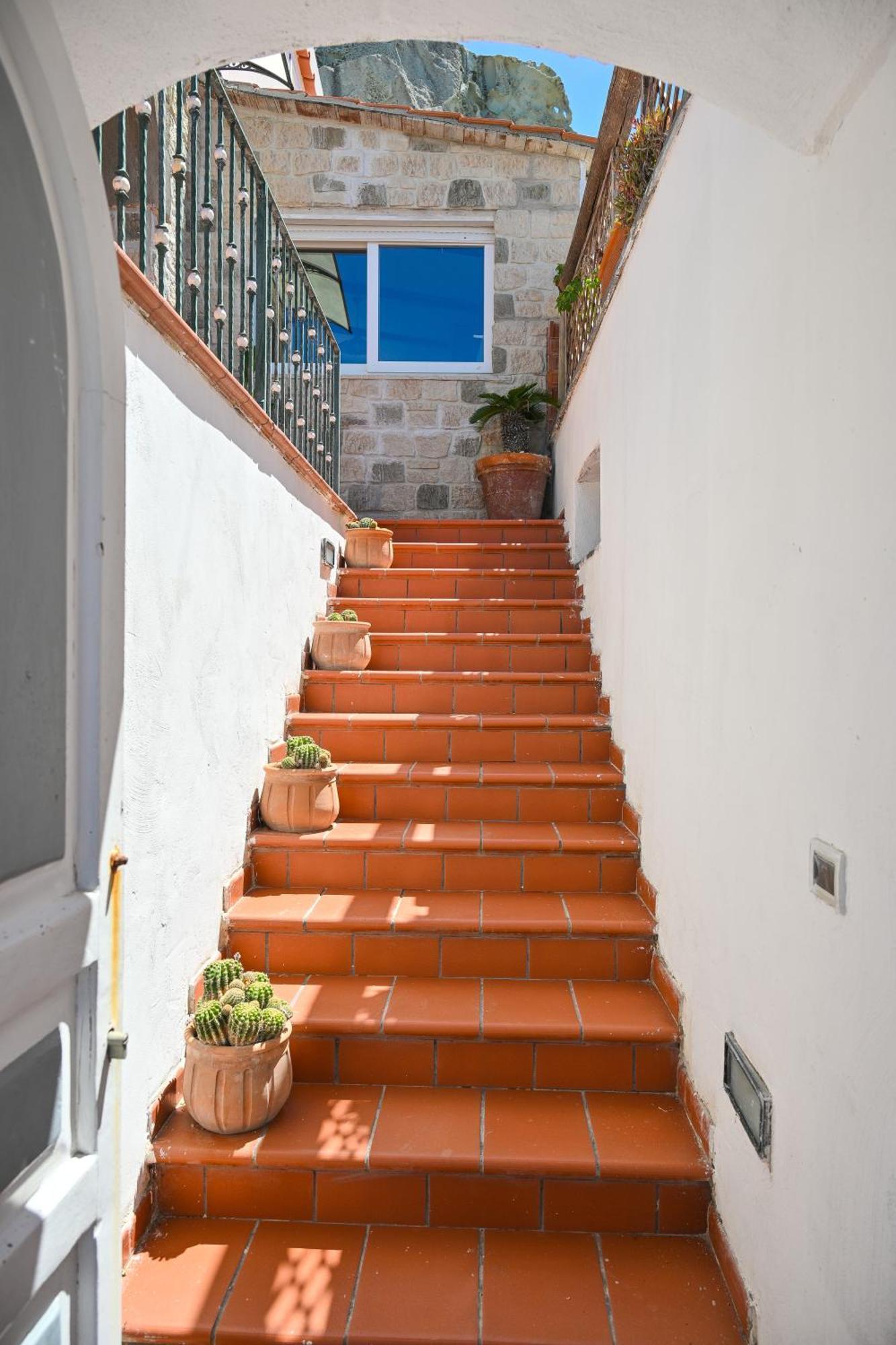 Casa Vacanze Nausicaa Leilighet Forio di Ischia Eksteriør bilde